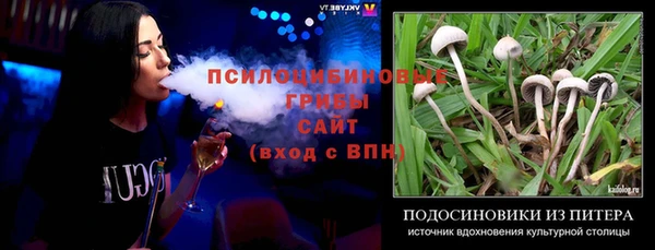 индика Семёнов