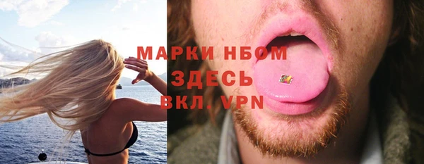 индика Семёнов