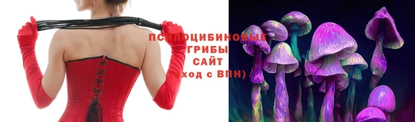 тгк Баксан
