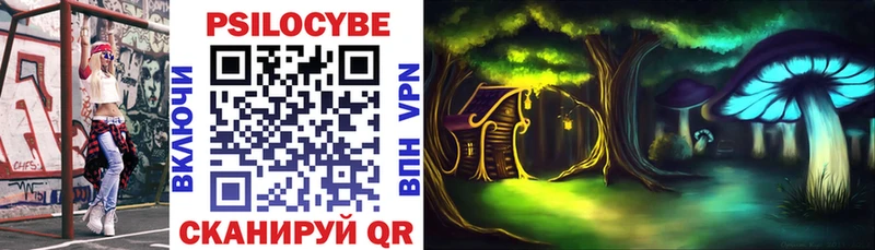 Псилоцибиновые грибы Magic Shrooms  площадка официальный сайт  Рудня  где купить наркотик 